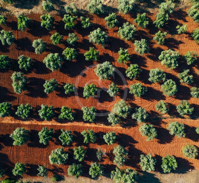 Greece Agritourism Farm