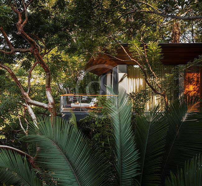 Luxurious Mexico Resort